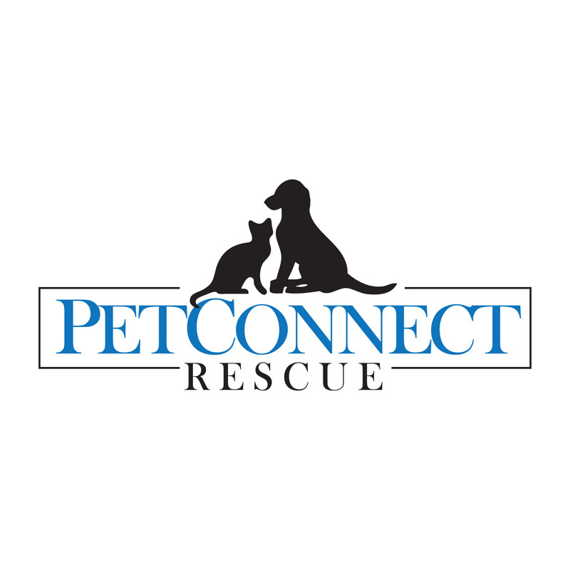 Sit With Me Dog Rescue Facebook Sit With Me Dog Rescue Facebook