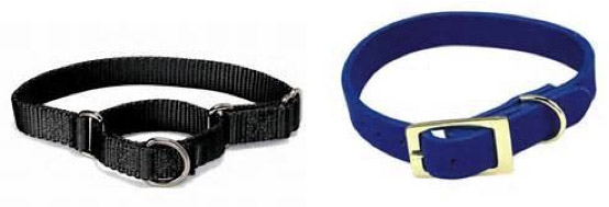 Martingale/No-slip Collars - PetConnect 