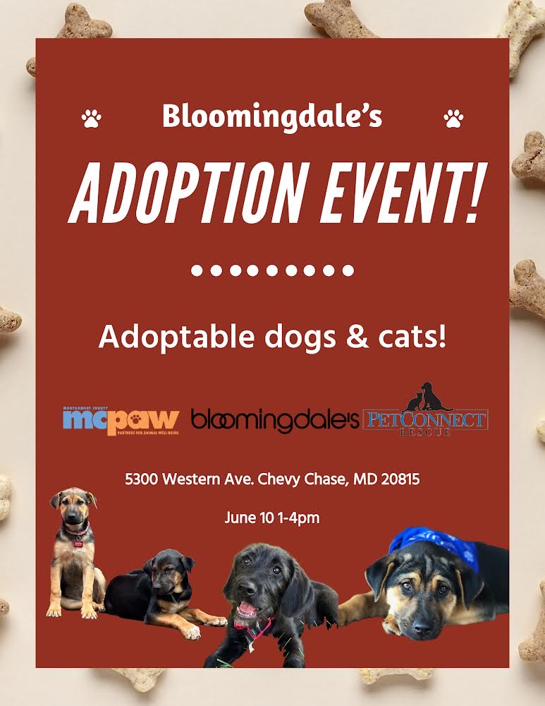 MCPAW Adoption Event at Bloomingdale's - PetConnect Rescue